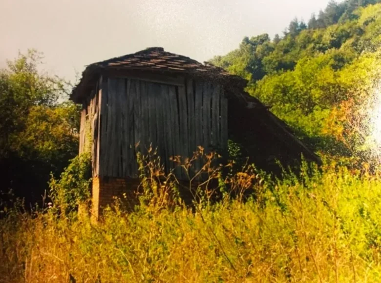 1 bedroom house 45 m² Skandaloto, Bulgaria