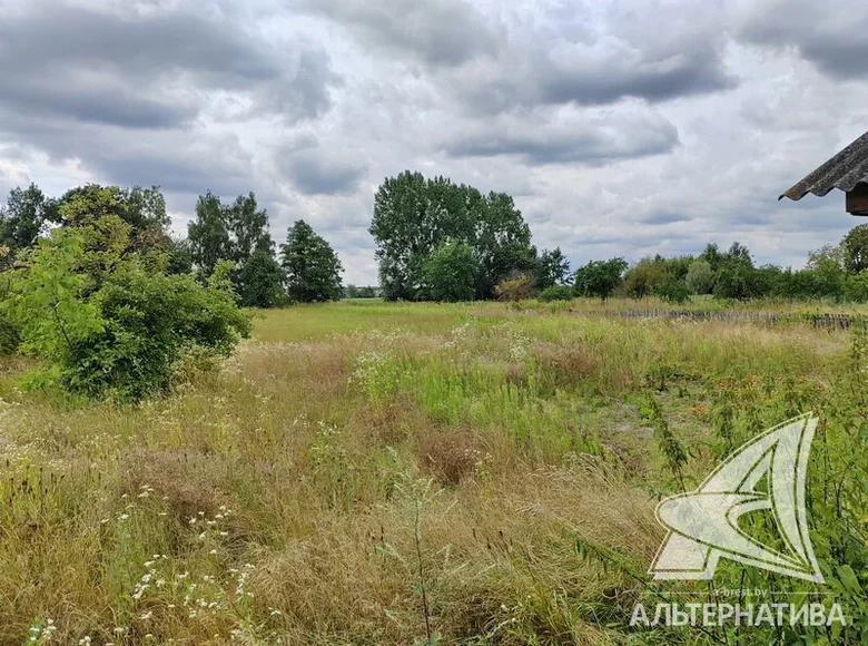 Land  Telminski sielski Saviet, Belarus