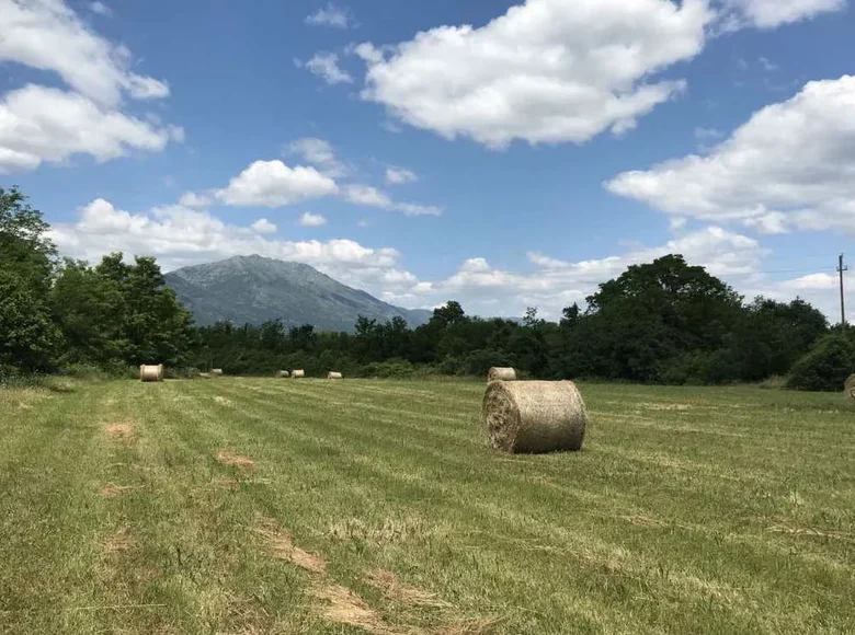 Land  Danilovgrad Municipality, Montenegro
