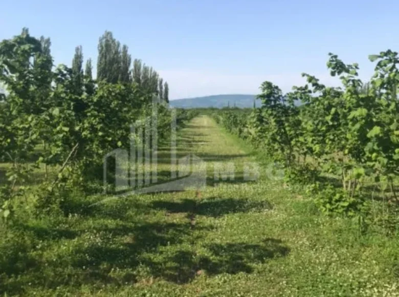 Parcelas 8 m² Tiflis, Georgia