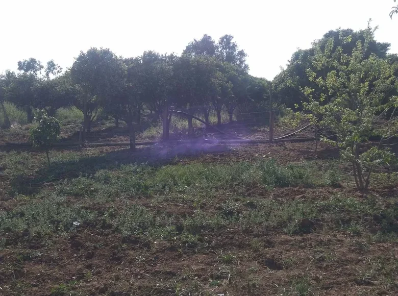 Land  Faro, Portugal