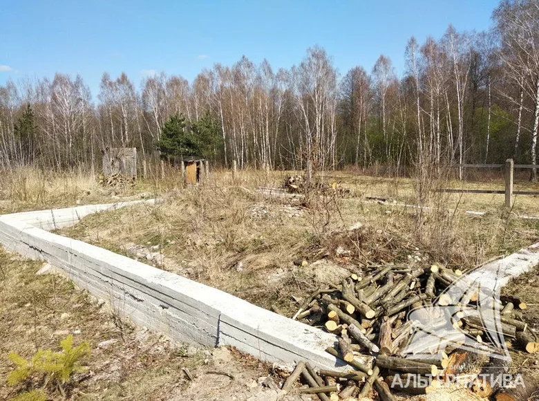 Land  Lieninski sielski Saviet, Belarus