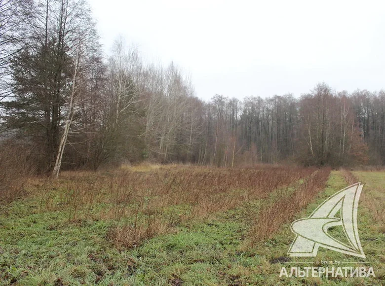Земельные участки  Мухавецкий сельский Совет, Беларусь