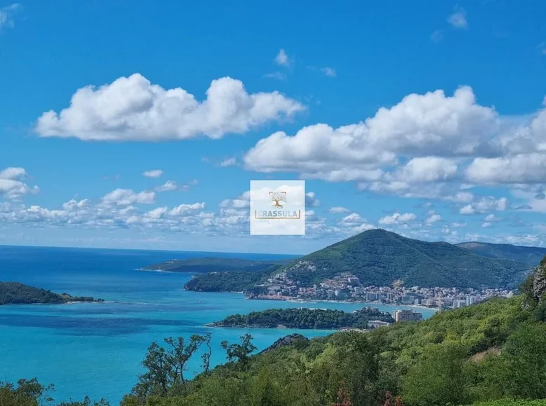 6 bedroom villa 650 m² Przno, Montenegro