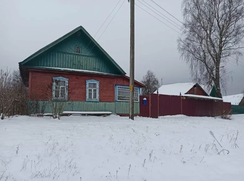 Haus 42 m² Vialikija Bialievicy, Belarus