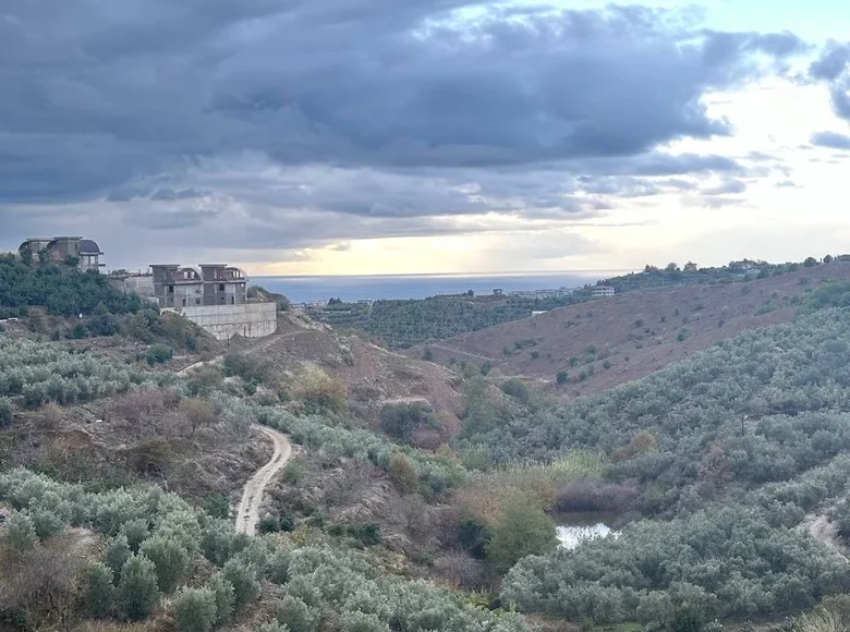 Land  Kargıcak, Turkey