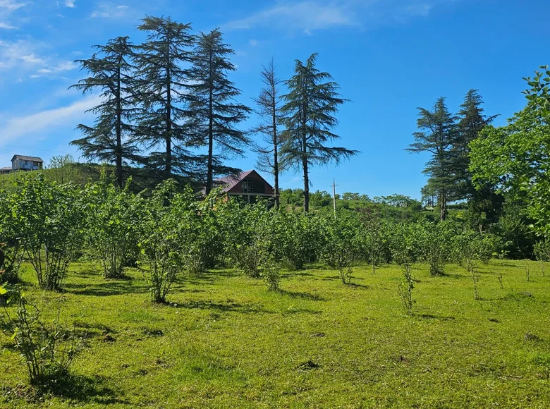 Atterrir  Chakvi, Géorgie