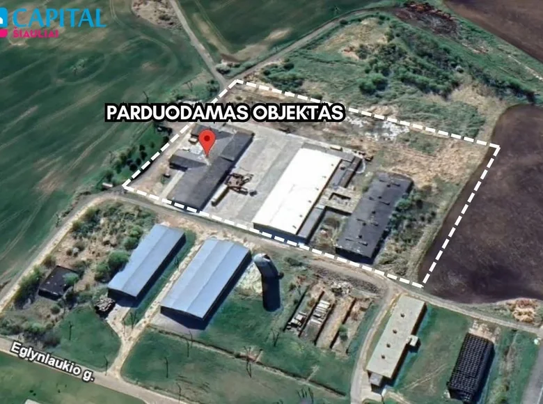 Nieruchomości komercyjne 6 154 m² Vidginiai, Litwa