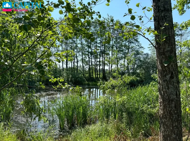 Land  Radailiai, Lithuania