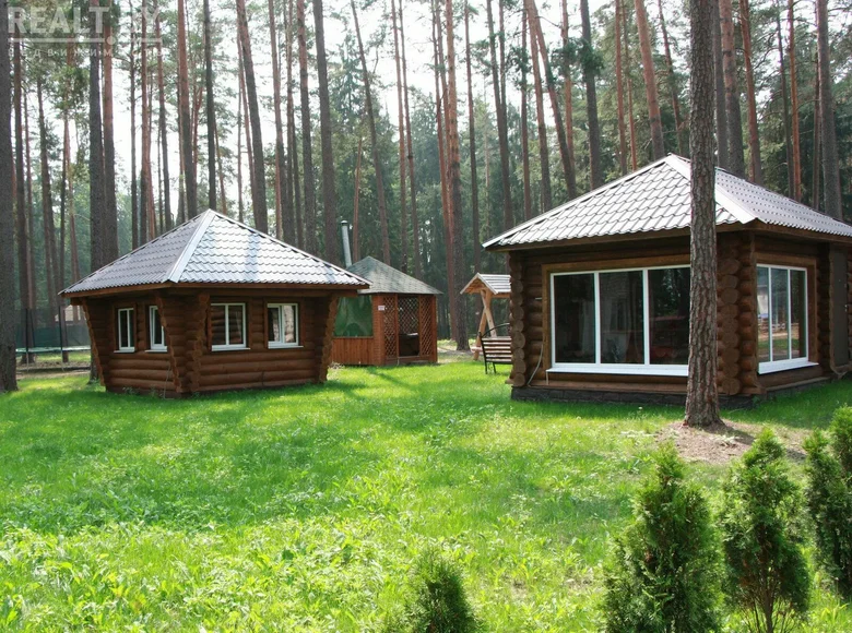Nieruchomości komercyjne 370 m² Liubonicki sielski Saviet, Białoruś