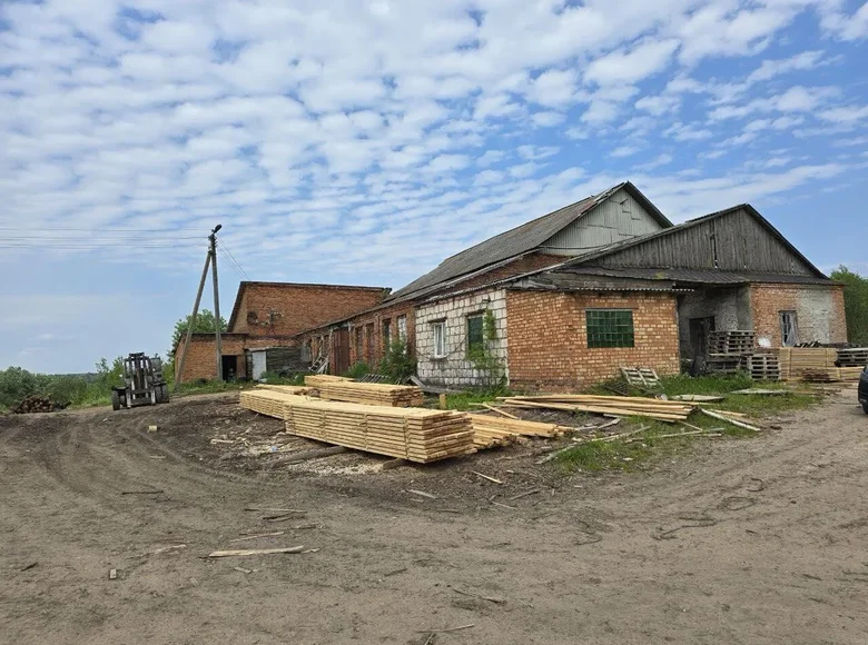 Производство 661 м² Новый Двор, Беларусь