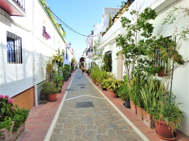 Studio apartment 3 bedrooms 252 m² San Pedro Alcantara, Spain