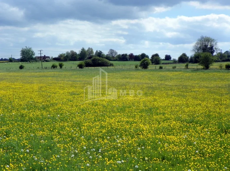 Grundstück 3 000 m² Tiflis, Georgien