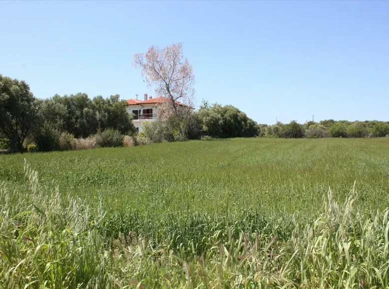 Atterrir 1 chambre  Nouvelle-Potidée, Grèce