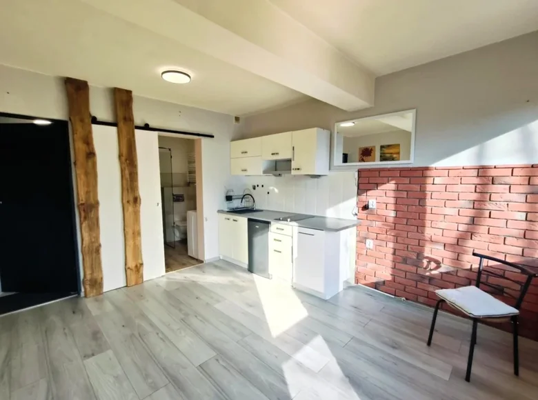 Mieszkanie 1 pokój 17 m² Łódź, Polska