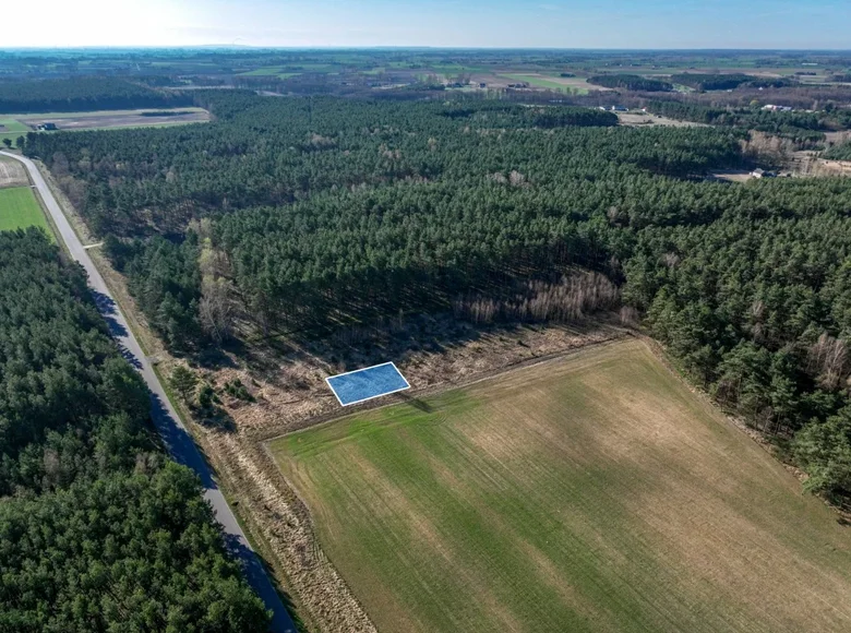 Atterrir 575 m² Powidz, Pologne