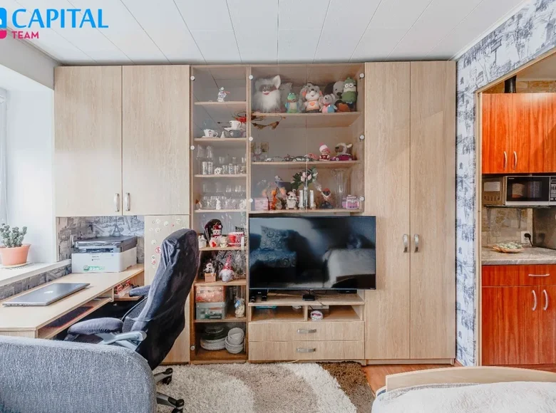 Wohnung 1 zimmer 17 m² Vilnius, Litauen