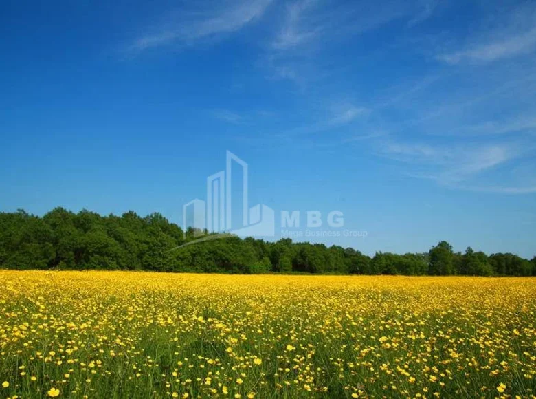 Land 3 400 m² Tbilisi, Georgia