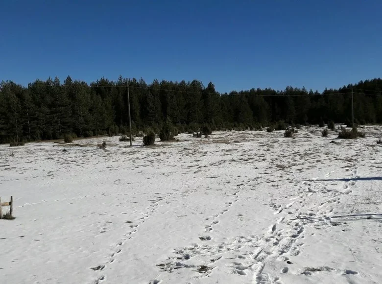 Land 16 125 m² Podgorica, Montenegro