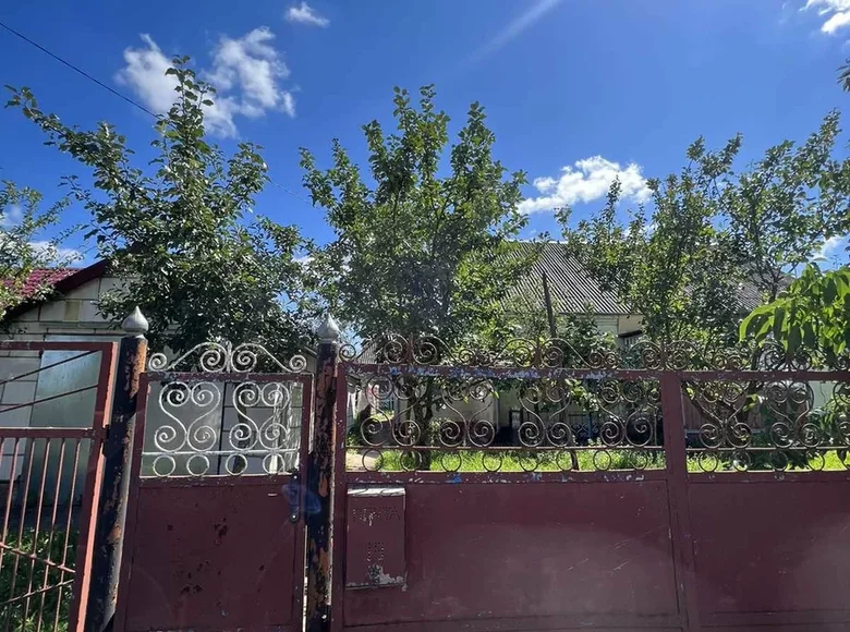 House 111 m² Nyasvizh, Belarus