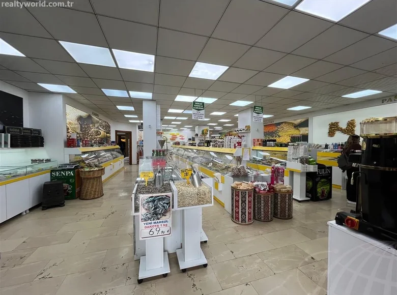 Gewerbefläche 281 m² Yenişehir, Türkei