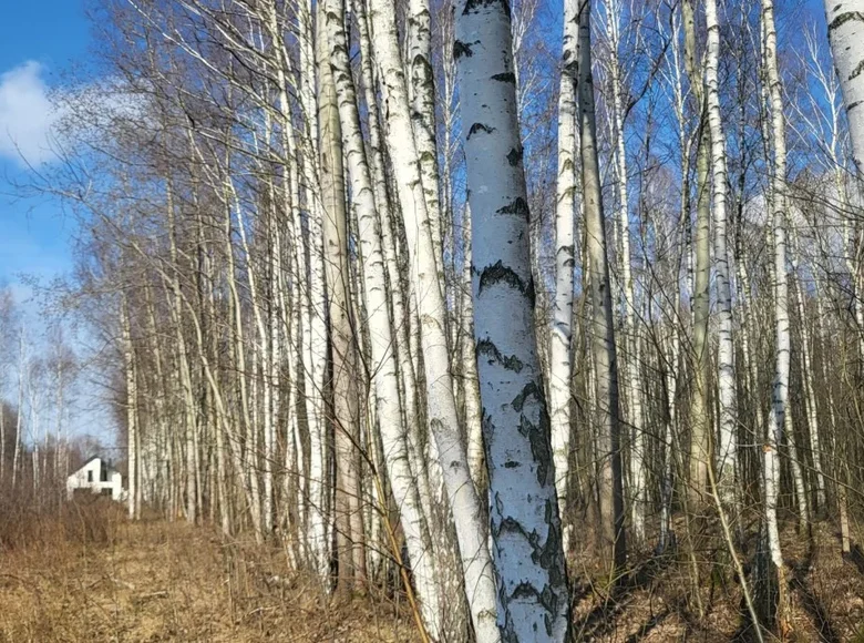 Земельные участки 1 комната 1 299 м² Отвоцк, Польша