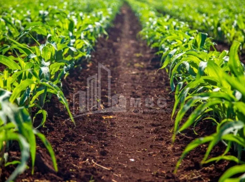 Grundstück 170 000 m² Tiflis, Georgien