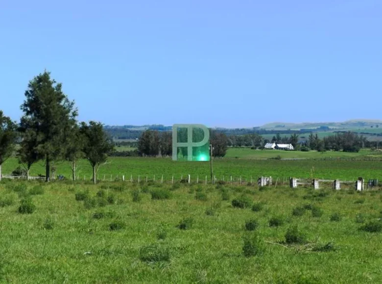 Land  Punta Ballena, Uruguay