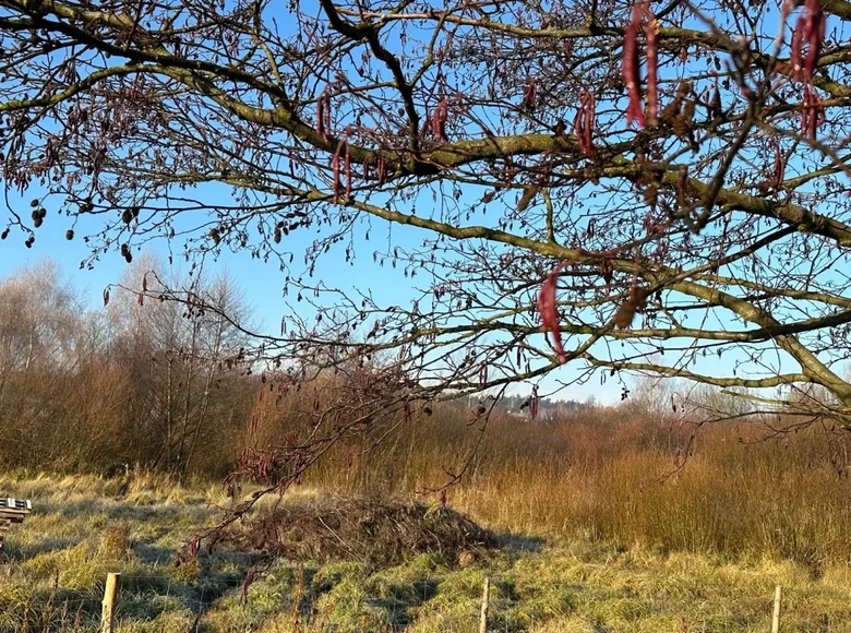 Дом 1 528 м² Польша, Польша