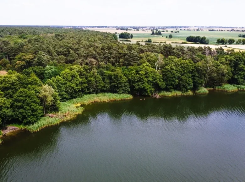 Land 31 500 m² Buszewo, Poland