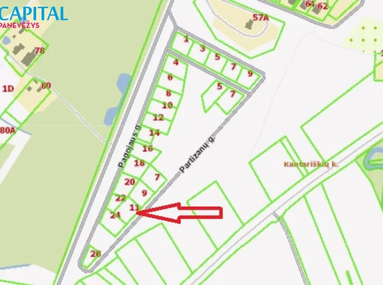 Земельные участки  Пасвалис, Литва