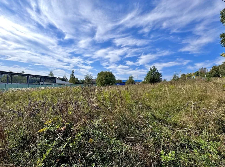 Land  Haradzishcha, Belarus