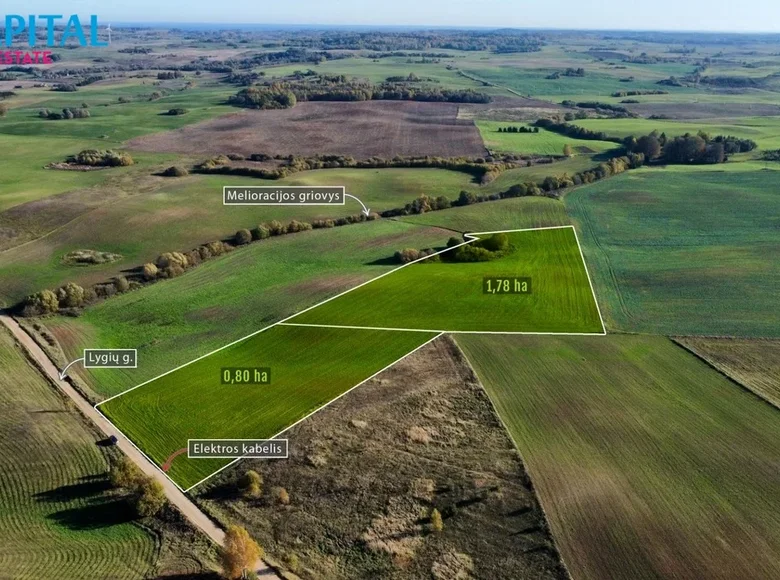 Grundstück  Musteniai, Litauen