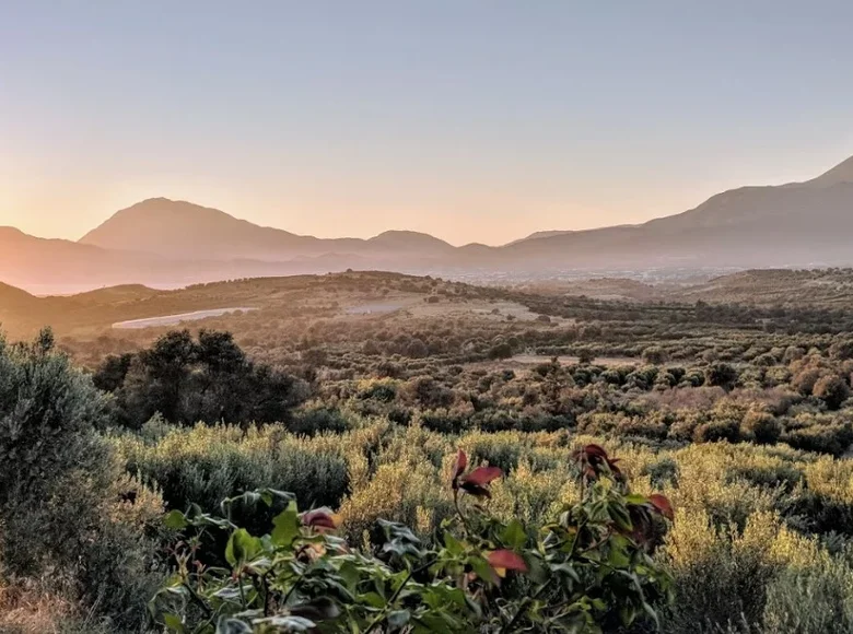 Działki 1 pokój  Municipality of Festos, Grecja