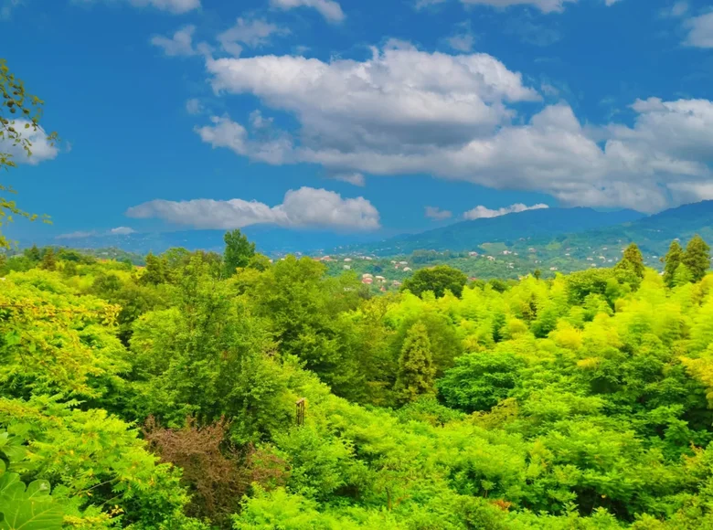 Atterrir  Batoumi, Géorgie