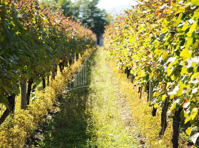 Земельные участки 1 м² Тбилиси, Грузия