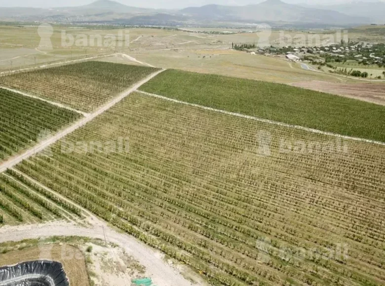 Commercial property 36 000 m² in Mrgashen, Armenia