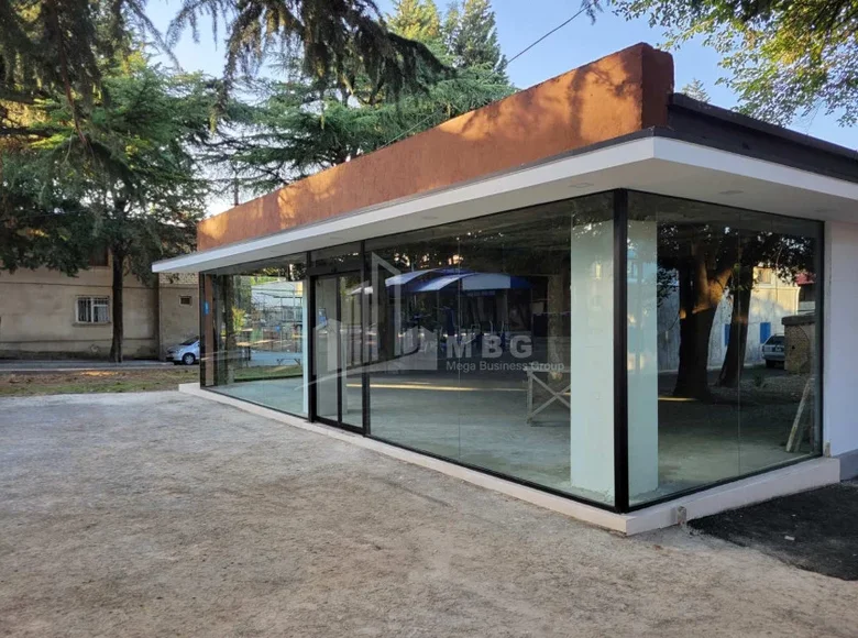 Коммерческое помещение 250 м² Тбилиси, Грузия