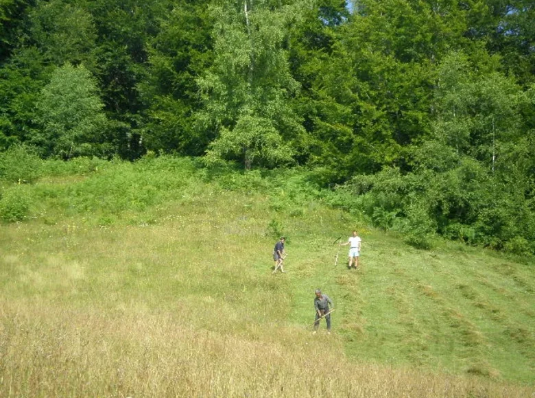 Parcelas  Municipio de Kolašin, Montenegro