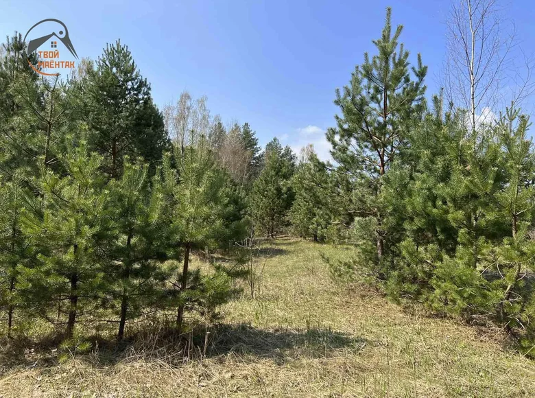 Land  Pratasievicki sielski Saviet, Belarus