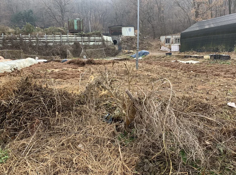 Propriété commerciale 33 m² à Gangsin ri, Corée du Sud