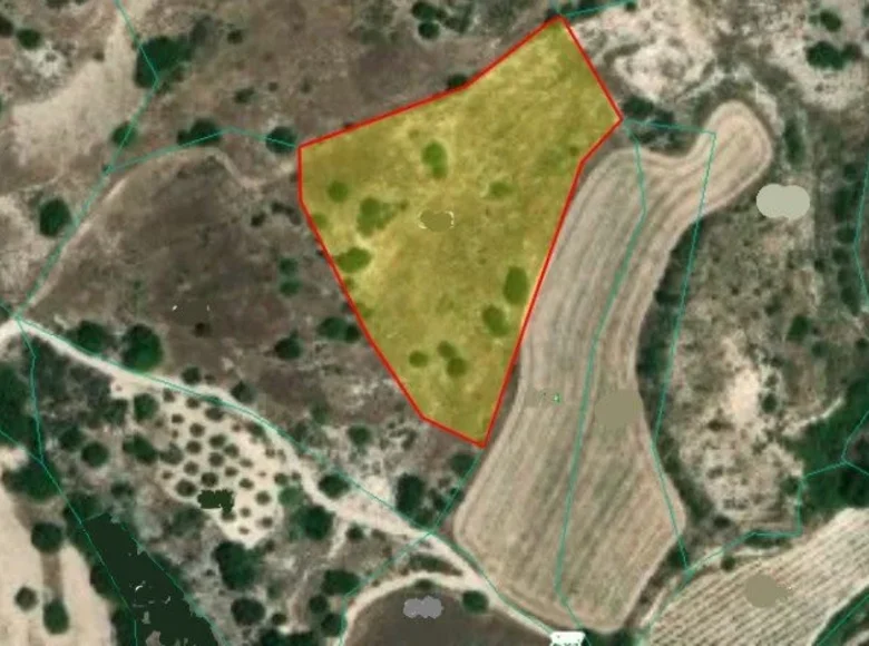 Mieszkanie  Lemona, Cypr