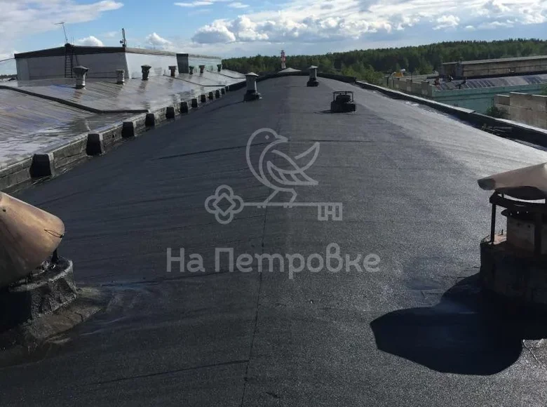 Manufacture 2 283 m² in Elektrostal, Russia