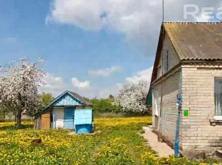 House 80 m² Snow, Belarus