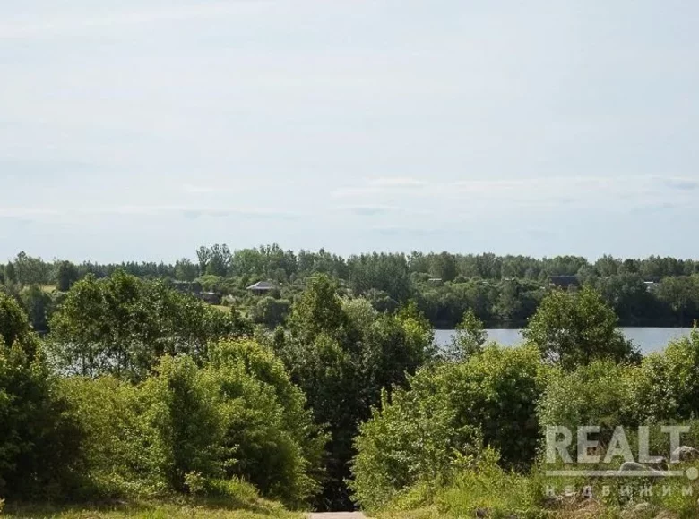 Land  in liepielski-rajon, Belarus
