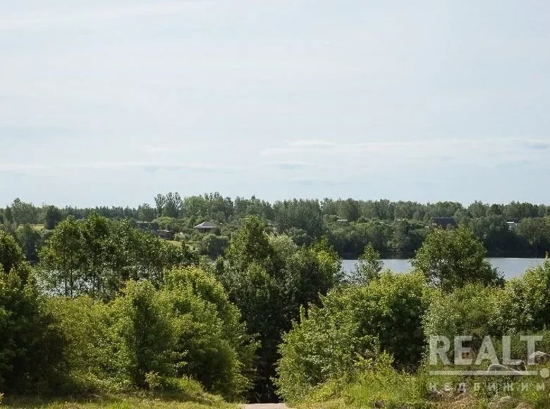 Land  Liepielski sielski Saviet, Belarus