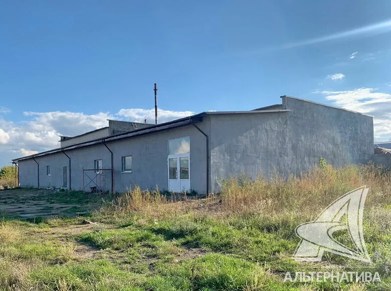 Zakład produkcyjny 832 m² Wysokie, Białoruś