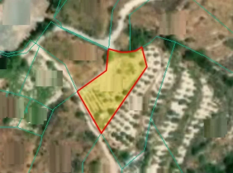 Apartment  Malia, Cyprus