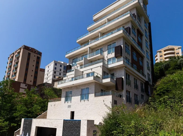 1 bedroom apartment 30 m² Montenegro, Montenegro