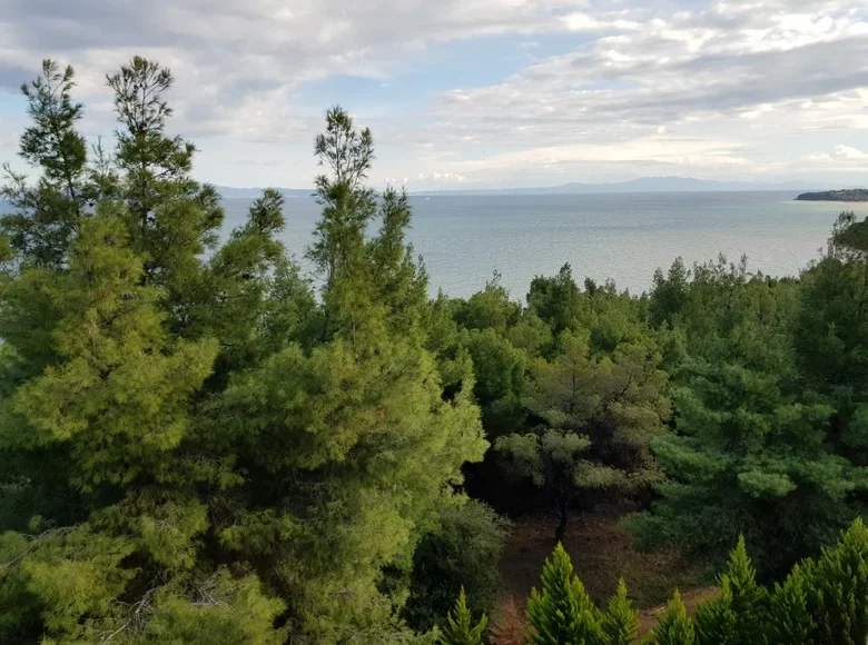 Willa 1 pokój 820 m² Kassandra Municipality, Grecja